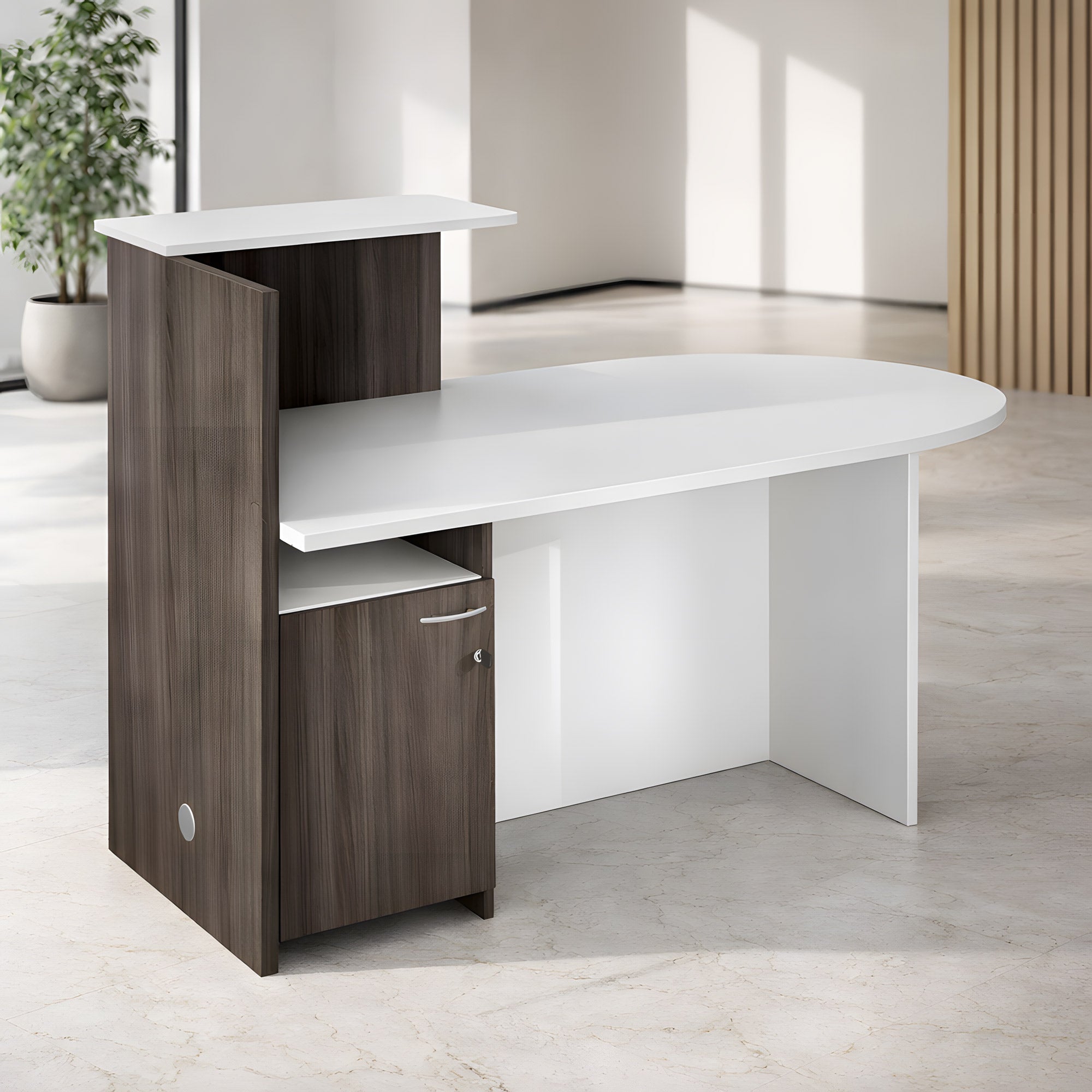 Banque d'accueil Professionnelle Compact