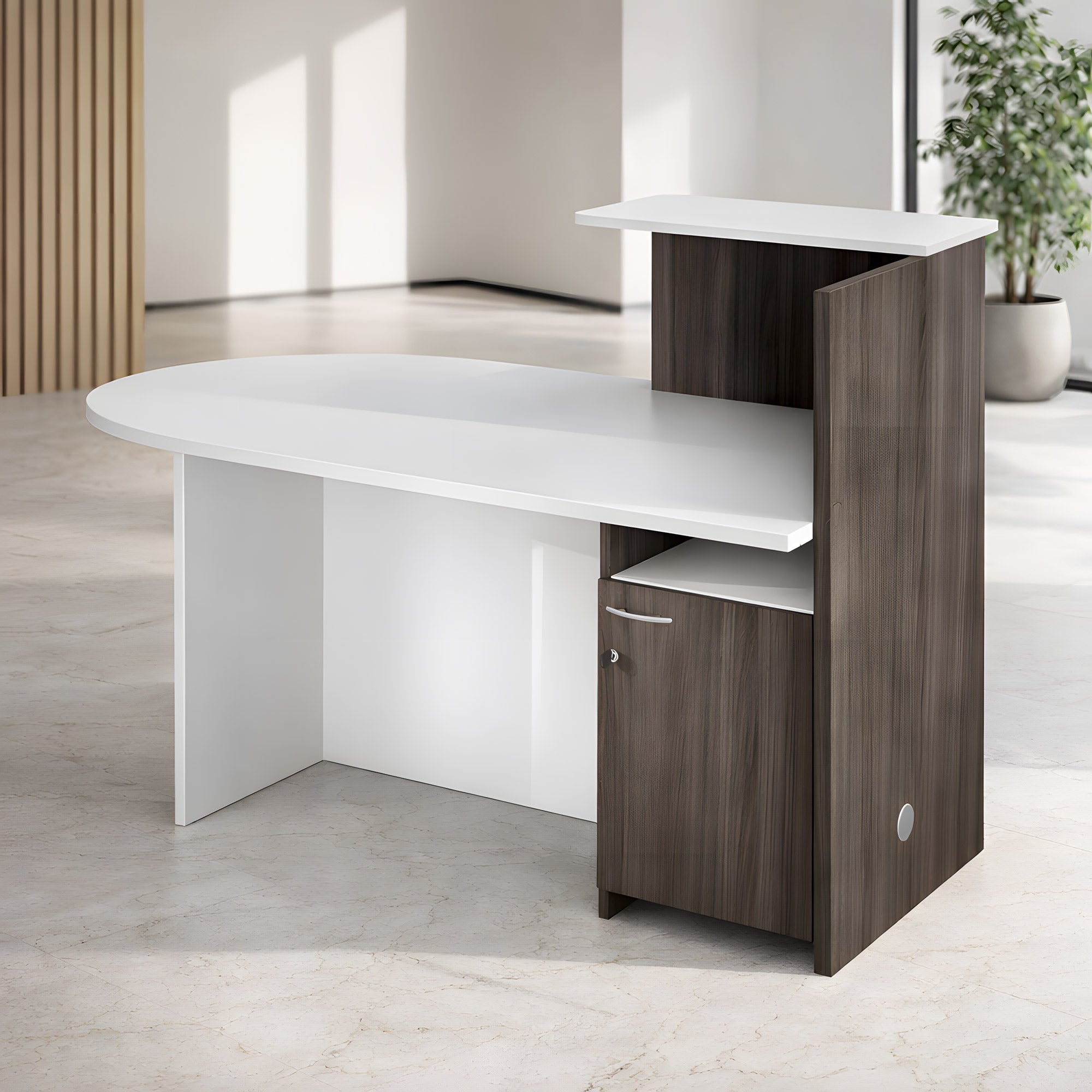 Banque d'accueil Professionnelle Compact