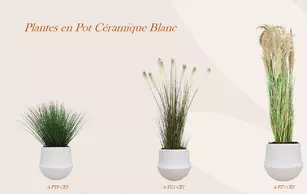 Plantes en pot céramique blanc