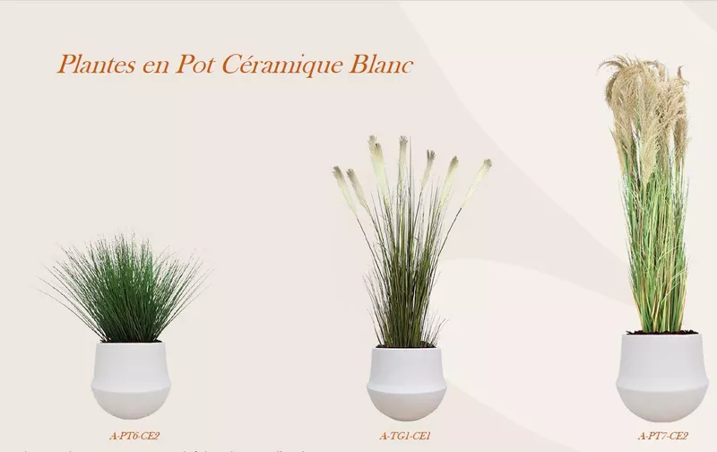 Plantes en pot céramique blanc