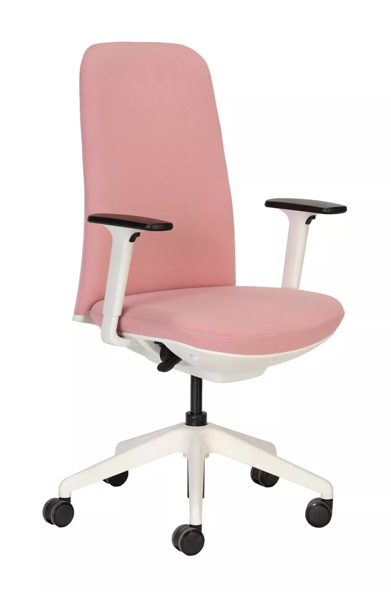 Fauteuil de bureau Birdy