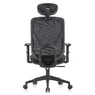 fauteuil de bureau ergonomique AXEL