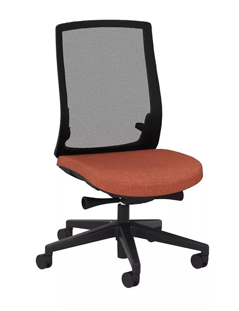 Fauteuil de bureau ergonomique Mayflower Couleur