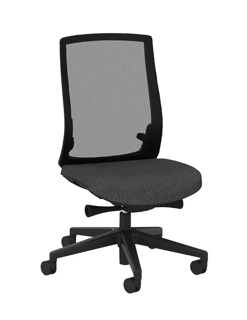 Fauteuil de bureau ergonomique Mayflower Couleur