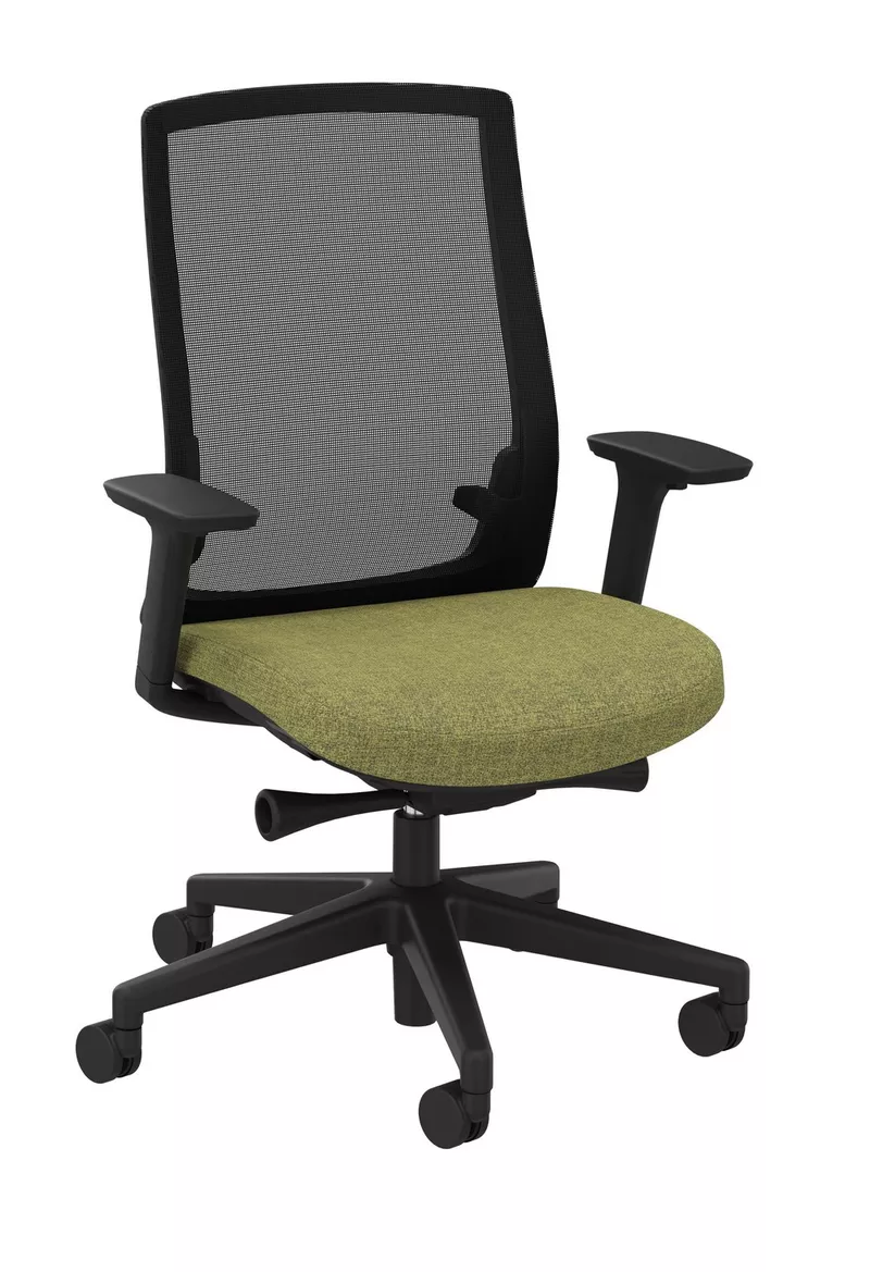 Fauteuil de bureau ergonomique Mayflower Couleur