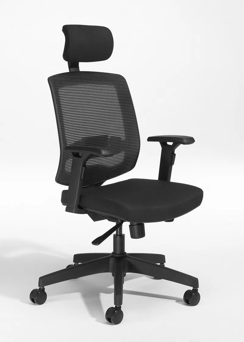 Fauteuil ergonomique Harmonie