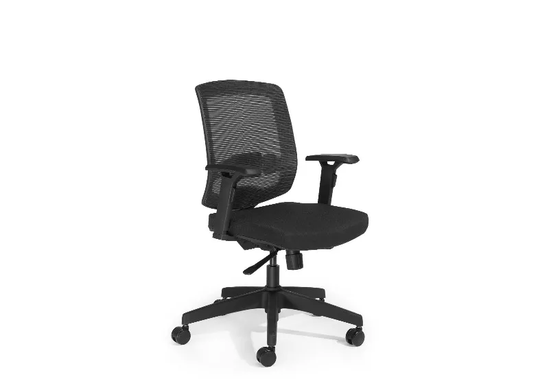 Fauteuil ergonomique Harmonie